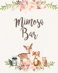 BSS Woodland Pink Floral Mimosa: BSS Woodland Pink Floral Welcome