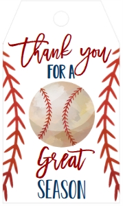Baseball Great Season Tag design preview