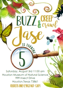 Birthday Bug Invite: Birthday Bug Invitation