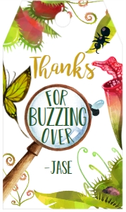 Birthday Bug Favor Tag design preview