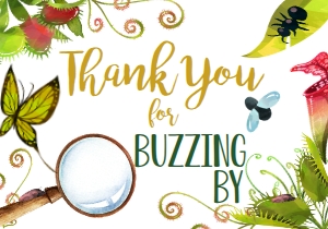 Thank You Bug Double Sided design preview