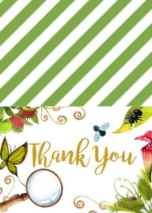 Thank You Birthday Bug: Birthday Bug Invitation