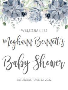Baby Shower Blue Succulent Welcome Sign: Baby Shower Blue Succulent Invitation 613328897