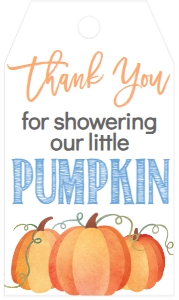 BS Blue Banner Pumpkin Favor Tag: Baby Shower Blue Pumpkin Banner