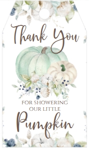 BS Blue Floral Pumpkin Favor Tag: BS Pumpkin Baby Blue Greenery