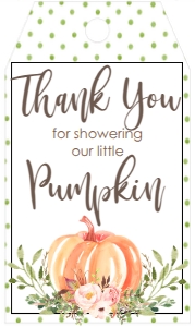 BS Pink Floral Pumpkin Favor Tag: BS Pumpkin Baby Greenery