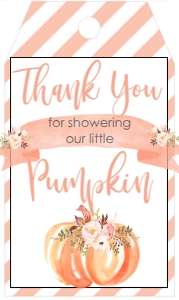 BS Peach Pumpkin Greenery Favor Tag: Baby Shower Peach Pumpkin Greenery