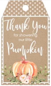 BS Pink Floral Pumpkin Kraft Favor Tag: Baby Shower Pumpkin Greenery Kraft Variations
