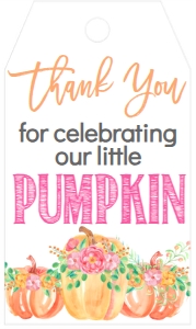 Birthday Pink Floral Pumpkin Favor Tag: Birthday Pink Floral Pumpkin