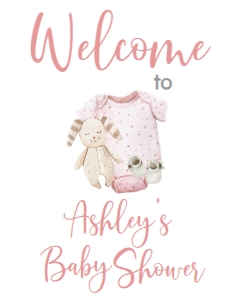BSS Baby Girl Onesie Welcome Sign 8x10: BSS Baby Girl Onesie Welcome Sign 8x10