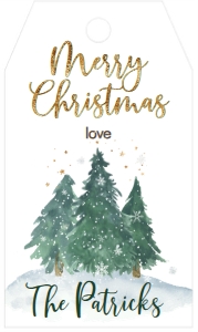 Christmas Party 3 Tree Oh What Fun Favor Tag: Christmas Party 3 Tree Oh What Fun Invite