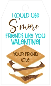 Valentine's Day I Need S'More Friends Like You Favor Tag: Valentine's Day I Need S'More Friends Like You Favor Tag