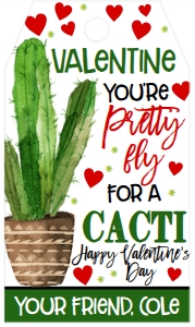 Valentine Pretty Fly for a Cacti Favor Tag design preview