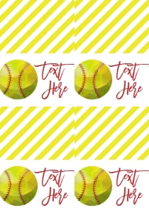 Birthday Softball Food Tent Full Page: Birthday Softball