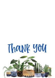 School Teacher Appreciation Week Plants Thank You: School Teacher Appreciation Week Plants
