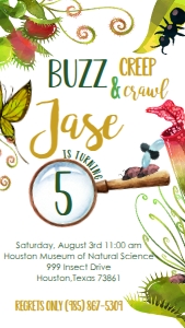 Birthday Bug Text Invite: Birthday Bug Invitation