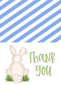 Birthday Bunny Blue BB2 Thank You: Birthday Bunny Blue BB2