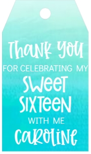 Birthday Foil Balloon Gold 16 Aqua Back Favor Tag: Birthday Foil Balloon Gold 16 Aqua Back