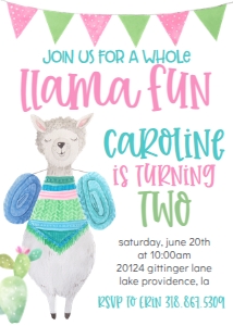 Birthday Llama Fun Pink: Birthday Llama Fun Pink