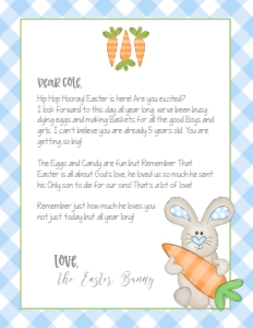 Easter Bunny Letter Blue Gingham V2 design preview