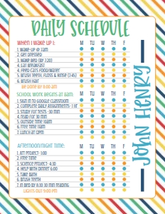 Daily Schedule Stripe Primary: Daily Schedule Stripe Primary