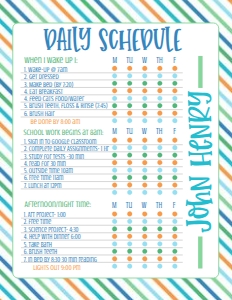 Daily Schedule Stripe Orange Blue: Daily Schedule Stripe Orange Blue