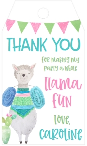 Birthday Llama Fun Pink Favor Tag: Birthday Llama Fun Pink