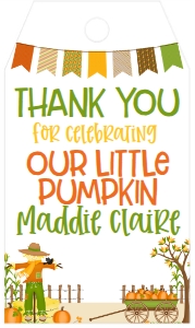 Fall Birthday Pumpkins Banner Favor Tag: Fall Birthday Pumpkins Banner