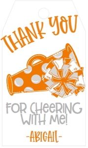 Birthday Cheer Orange Grey Favor Tag: Birthday Cheer Set
