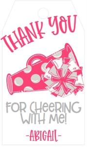 Birthday Cheer Pink Grey Favor Tag: Birthday Cheer Set