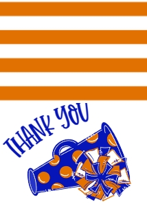 Birthday Cheer Blue Orange Thank You: Birthday Cheer Set