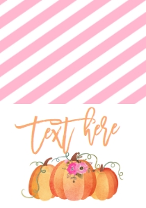 Birthday Our Little Pumpkin Fall Pink Food Tent: Birthday Our Little Pumpkin Fall