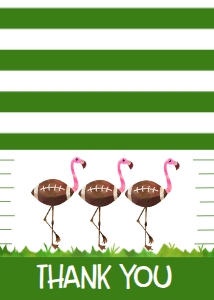 Birthday Footballs & Flamingos Thank You: Birthday Footballs & Flamingos