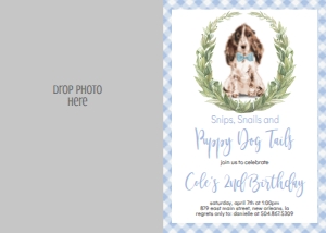 Birthday Dog Blue Springer Spaniel WC Photo Invite: Birthday Dog Blue Springer Spaniel WC