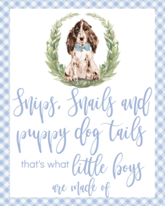 Birthday Dog Blue Springer Spaniel WC Snips and Snails Sign: Birthday Dog Blue Springer Spaniel WC