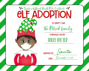 Christmas Elf Quarantine Adoption Certificate  GBM1: Elf Note Cards with Sayings Quarantine Green