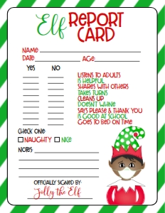 Christmas Elf Quarantine Report Card GBM1: Elf Note Cards with Sayings Quarantine Green