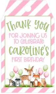 Birthday Woodland Party Animals Pink Favor Tag: Birthday Woodland Party Animals Pink