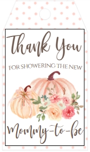 Baby Shower Blush Floral Pumpkin Favor Tag: Baby Shower Blush Floral Pumpkin