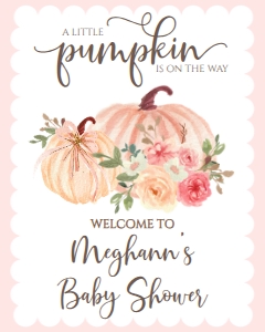 Baby Shower Blush Floral Pumpkin Welcome Sign 8x10: Baby Shower Blush Floral Pumpkin