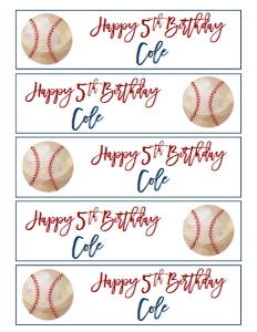 Baseball Water Bottle Label: Birthday Baseball