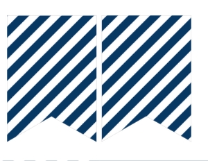 Birthday Baseball Bunting Banner: Birthday Baseball