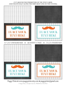 Mustache Place Cards (MU1008LN): Mustache Place Cards (MU1008LN)