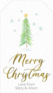 tc12-christmas-pine-tree: tc12-christmas-pine-tree
