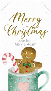 tc14-gingerbread-cookie: tc14-gingerbread-cookie