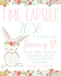 bunny pink time capsule design preview
