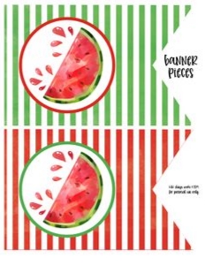 Watermelon red banner: watermelon red banner