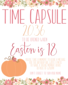 Pumpkin Pink Time Capsule Sign: Pumpkin Pink Time Capsule