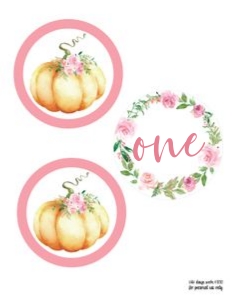 Little Pumpkin Pink Watercolor High Chair Banner: Little Pumpkin Birthday Pink Set