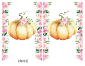 Little Pumpkin Pink Watercolor Banner: Little Pumpkin Birthday Pink Set